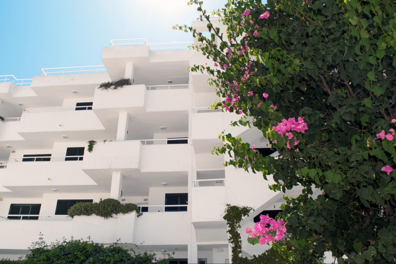 Camelina Suites San Antonio  Exterior photo